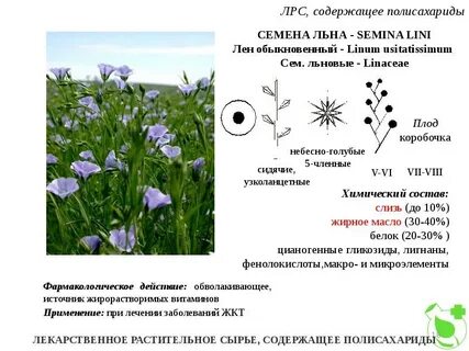 Полисахариды являются основной группой бас в лрс