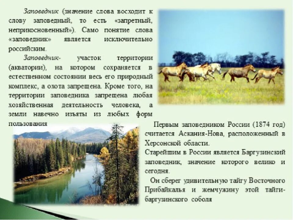 Заповедники и нац парки России. Заповедники и национальные парки России проект. Проектная работа на тему заповедники.