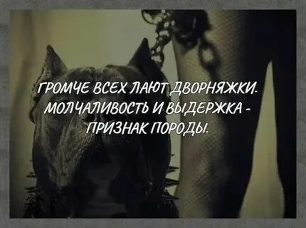 На 4 погромче на всю