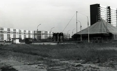 Цирк в челнах