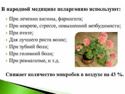 Герань при отите