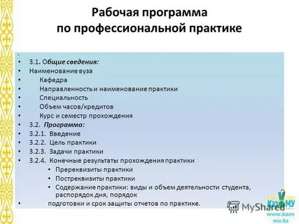 Программа профессиональной практики