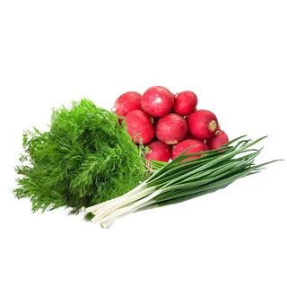 Редиска укроп