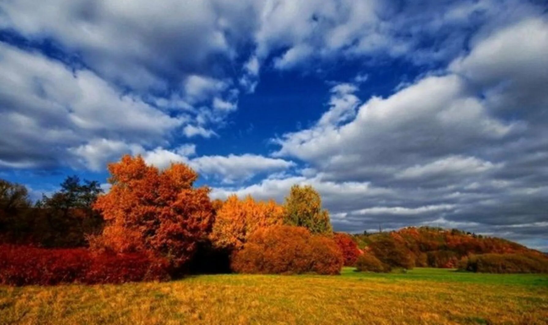 Низкими осенними тучами. Осеннее небо. Красивое осеннее небо. Красивые тучи осенью. Красота неба осенью.