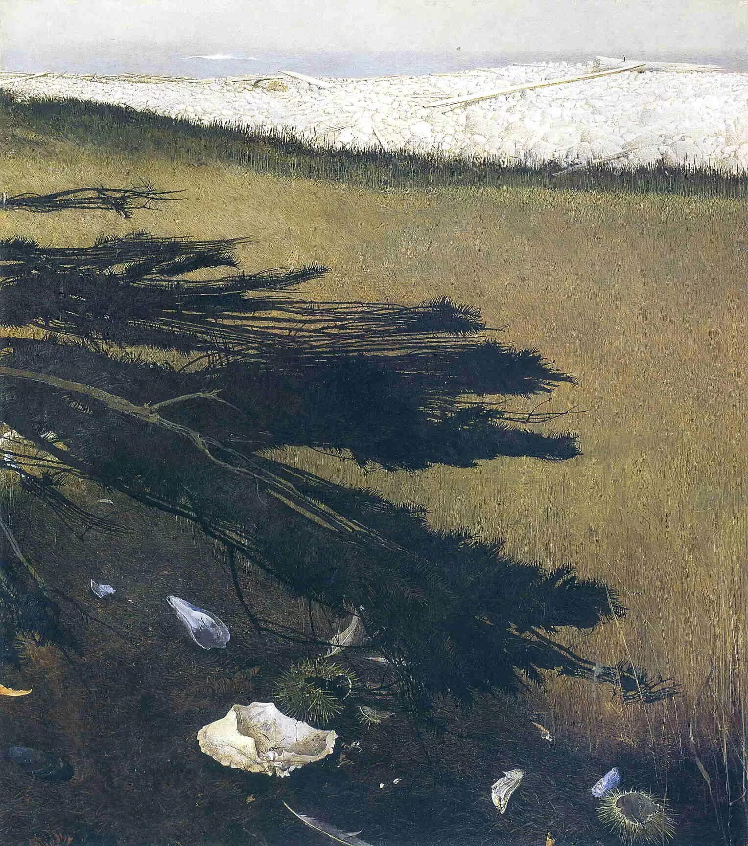 Картины эндрю. Andrew Wyeth. Картины Эндрю Уайета. Эндрю Уайет море живопись. Американский художник Эндрю Уайт.