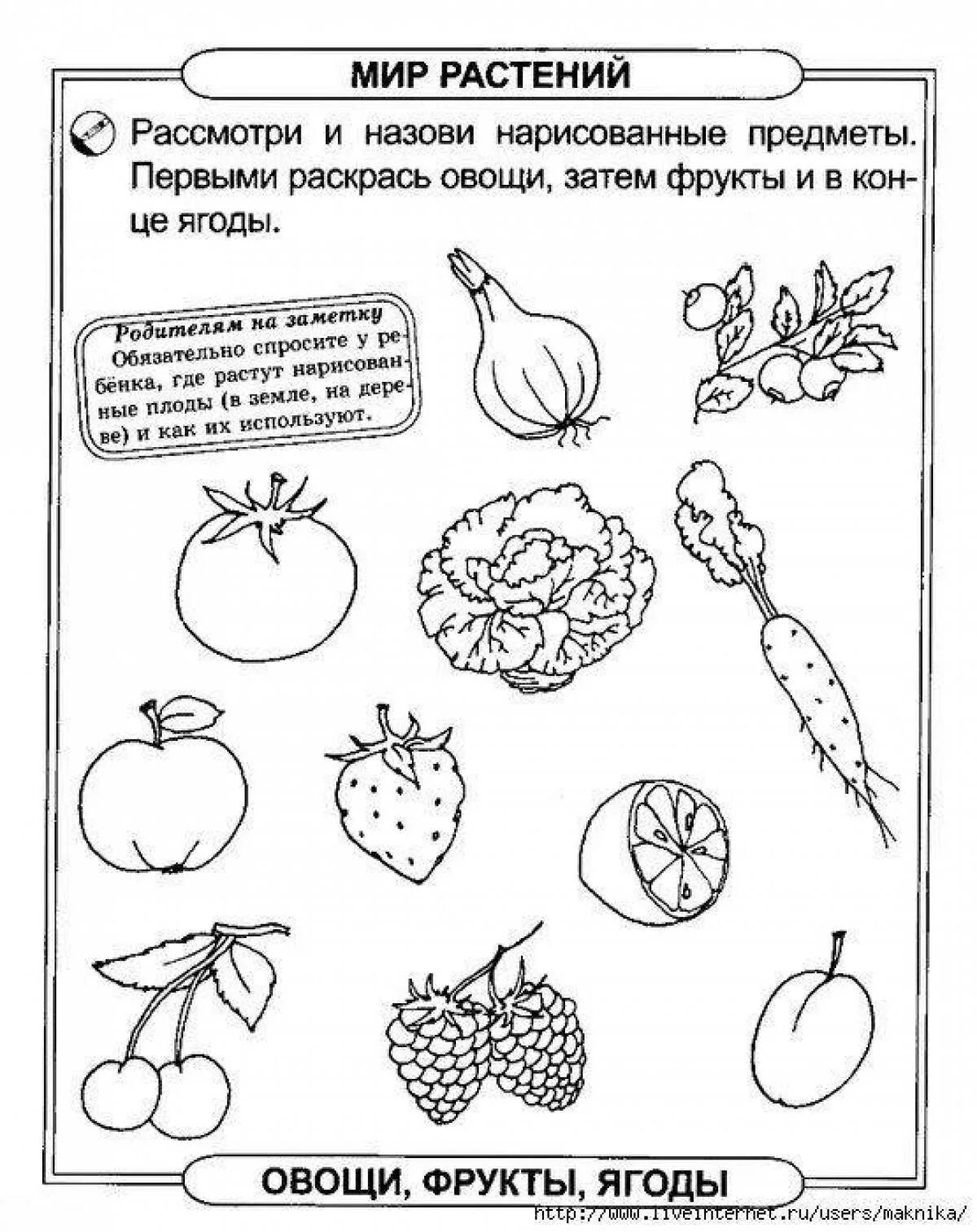 Задания по окружающему миру подготовка к школе. Задания для дошкольников. Задания по для дошкольников. Овощи фрукты задания для дошкольников. Задания для школы 18