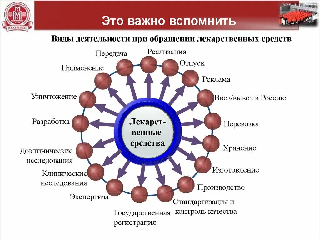 Качество лекарственных средств при поставке. Обращение лекарственных средств. Этапы обращения лекарственных средств. Виды деятельности в сфере обращения лекарственных средств. Основные этапы обращения лекарственных средств.