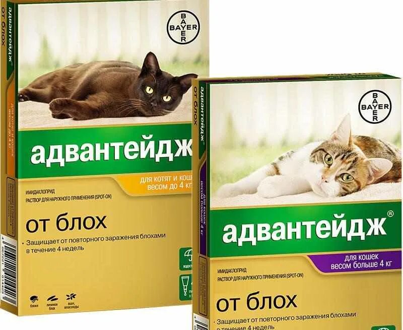 Таблетки от клещей для котов. Адвантейдж от блох кошкам 4кг. (Л) капли Bayer Адвантейдж от блох для кошек весом до 4 кг 0,4 мл. Адвантейдж от блох для кошек до 4 кг. Препараты от блох и гельминтов для кошек.