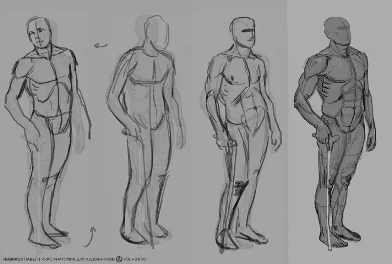 курс по анатомии для художников. детская анатомия для художников. анатомия для художников. анатомия для художников дудиева. курсы по анатомии для художников.