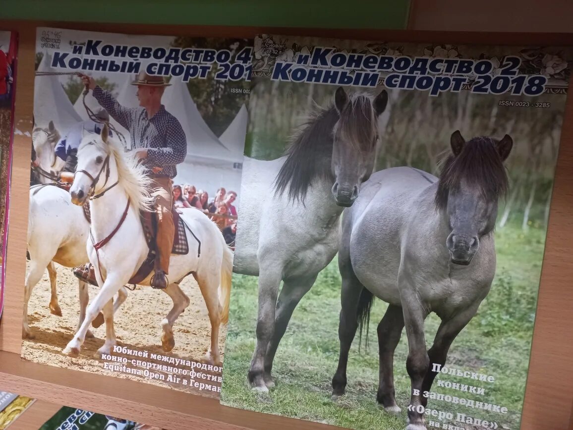 День лошади. Лошадиный праздник. Праздник день лошади. Августа конский праздник. Праздник коня 2024