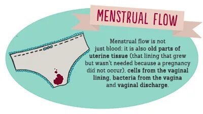 Порно және анк v