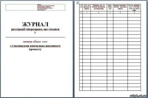 Журнал микротравм
