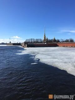 Температура невы сегодня