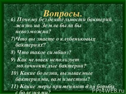 Без чего невозможна жизнь на земле