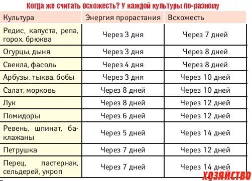 Через сколько дней после посадки всходит перец. Через сколько дней всходят огурцы. Через сколько всходят огурцы после посадки. Срок всхода семян огурцов. Срок прорастания семян томатов на рассаду.