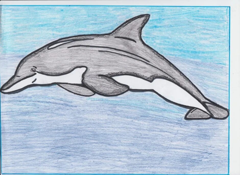 Рисунки на свободную тему легкие 6 класс. Беломордый Дельфин. Беломордый Дельфин рисунок. Дельфин Афалина Черноморская нарисовать. Рисование на свободную тему.