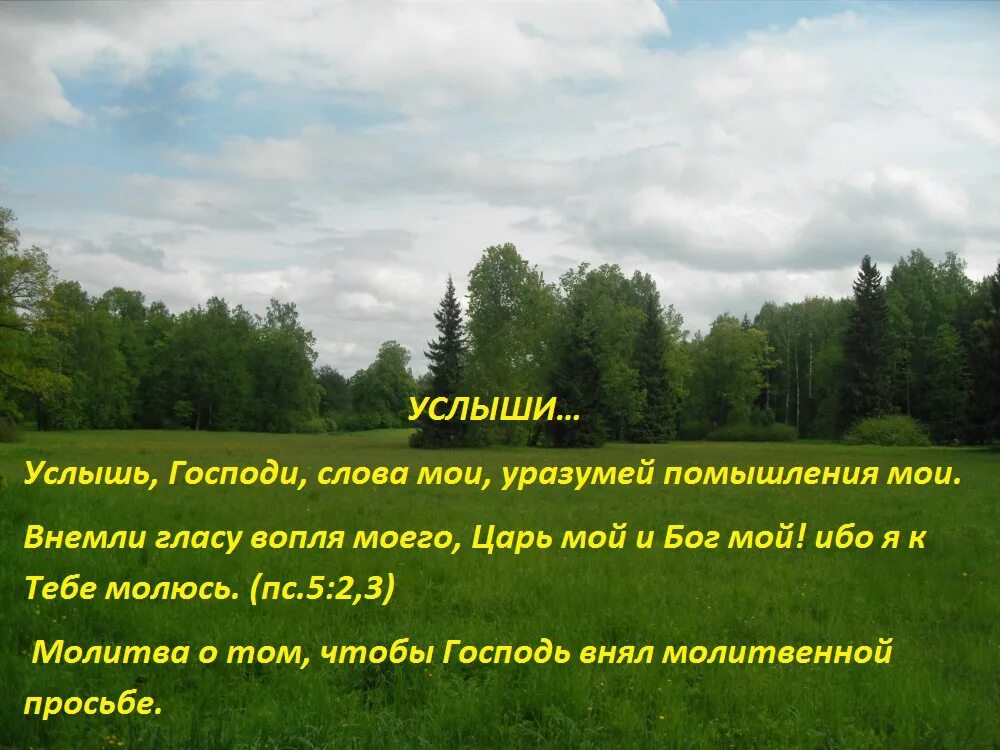радость во христе. веруя в сына божия имеете жизнь вечную. господь слышит. мой бог услышь и дай. о мой бог.