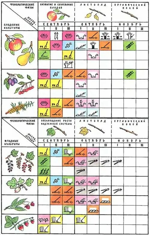 Расписание плодовое. Таблица подкормки ягодных и овощных культурах. Работы в саду и огороде по месяцам таблица. Таблица подкормки плодово-ягодных культур по месяцам. Календарь работ по саду по месяцам.