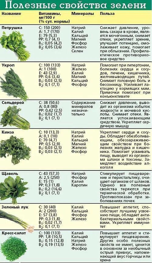 Сколько калорий в укропе. Полезная зелень. Полезные вещества в петрушке. Полезная зелень для организма. Аподезнве вещества в петрушке зелени.
