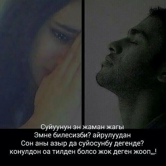 Нурила махабат жок