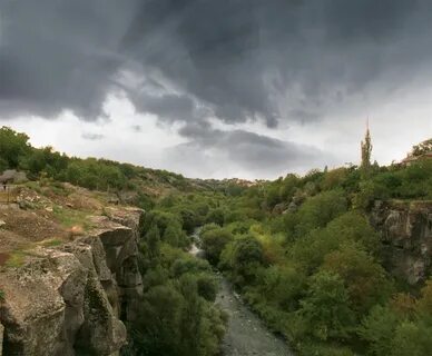 Приток лев