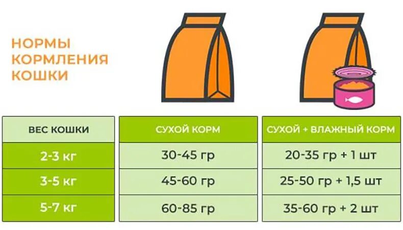 Сколько сухого корма в столовой ложке. Норма сухого корма для кошек. Норма сухого корма для кошек в день. Нормы кормления кошек. Нормы кормления кошек сухим кормом.