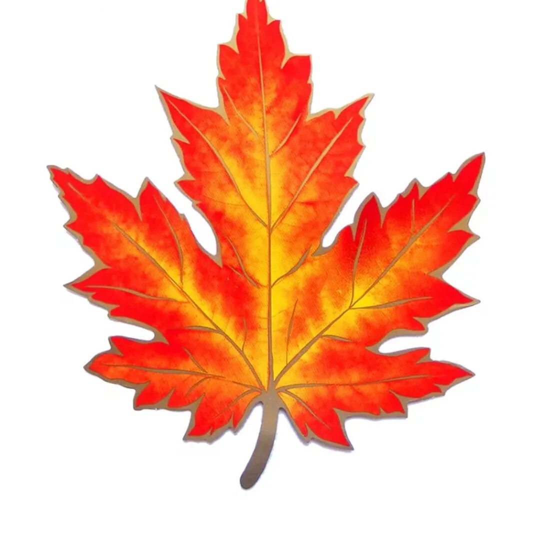 Картинки осенних листьев. Листики осенние кленовые. Кленовый лист оранжевый. Осенний кленовый листок. Листок кленовый кленовый.