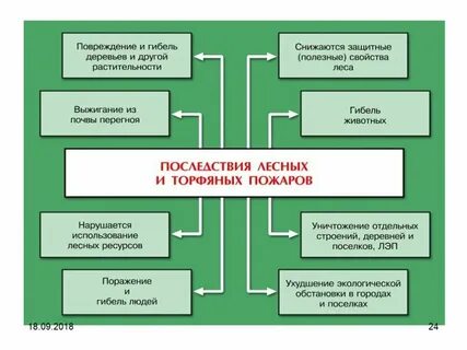 Причины пожаров природный фактор