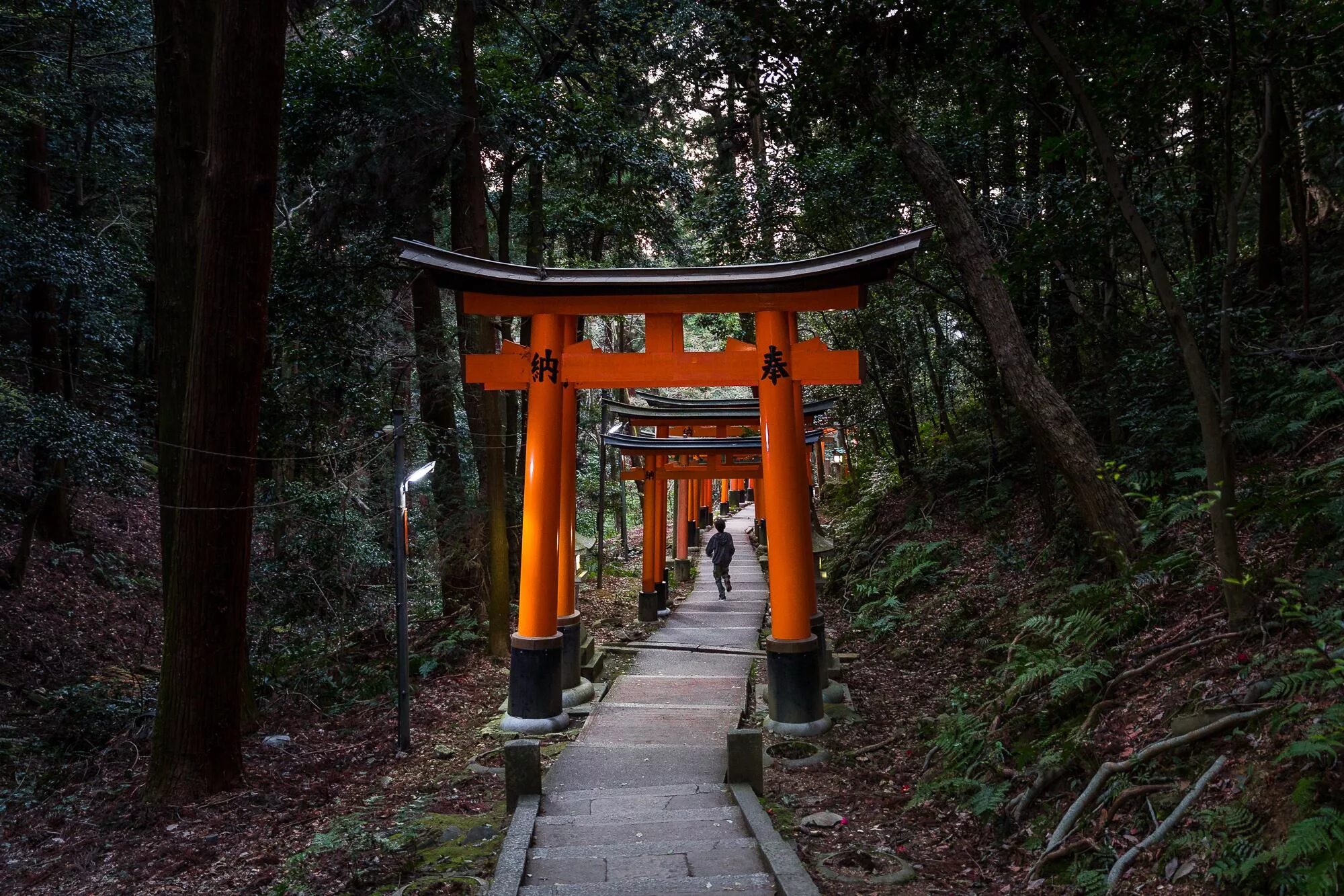 Ворота тори. Ворота тори. Ворота тори. Япония врата тории. Ворота тори.