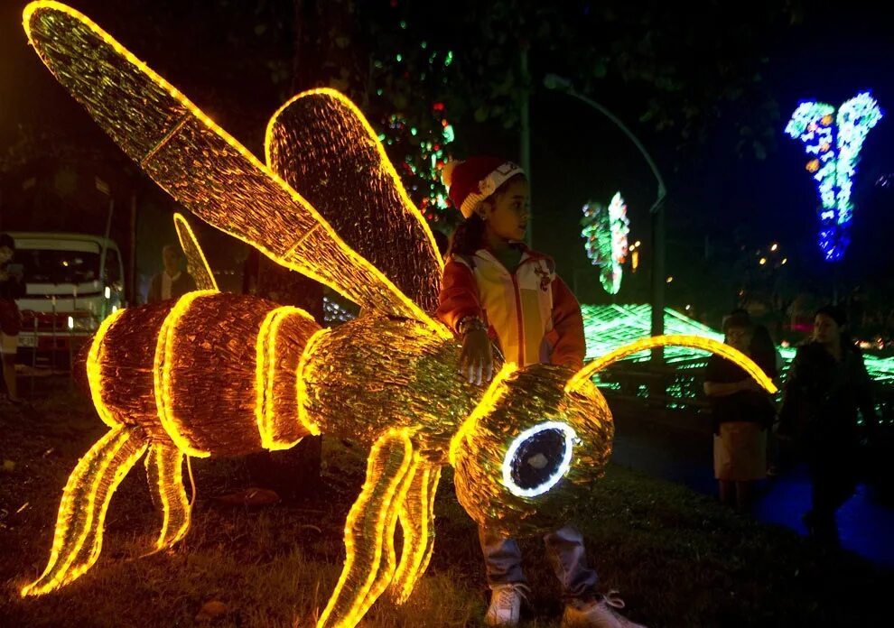 праздник светящихся. праздник светящихся. новогоднее украшение уличное на столбах. рождественская иллюминация в лос анджелесе. воздушные фонарики.