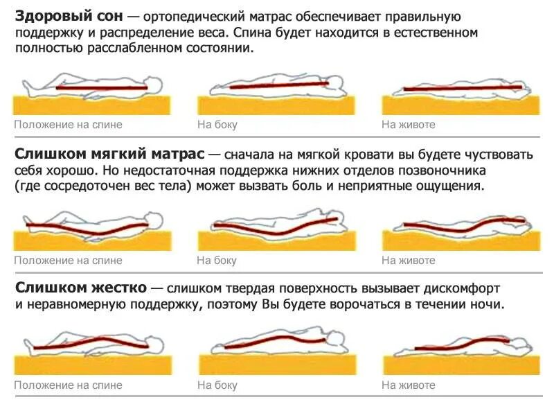 Правильное положение для сна. Положение позвоночника во сне. Правильное положение позвоночника во сне. Правильное положение позвоночника во время сна.