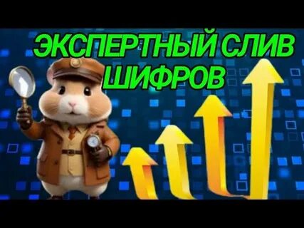 Новый шифр в хамстер комбат