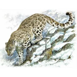 Як лис барс жираф