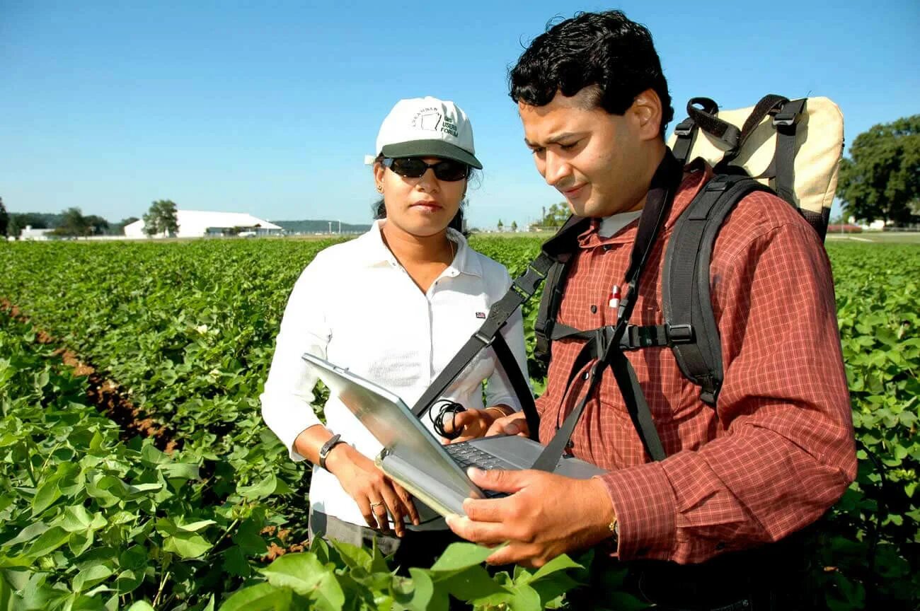 Agriculture engineer. Ученые экологи. Agricultural engineering. Agriculture engineer. Agricultural engineering.