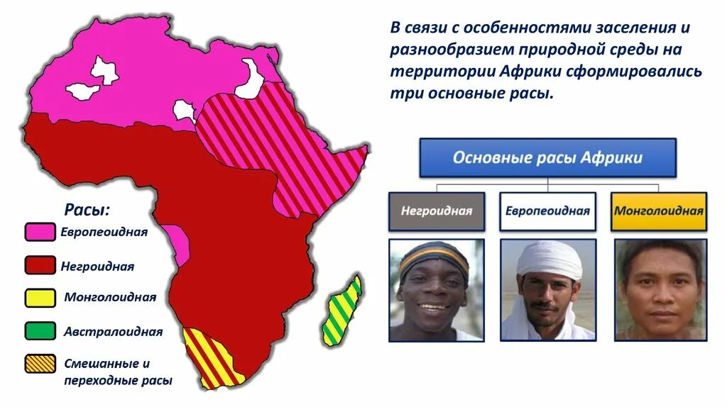 Какая раса проживает в северной африке. Карта населения Африки 7 класс. Этнический состав Африки карта. Районы проживания основных рас Африки. Основные расы Африки.