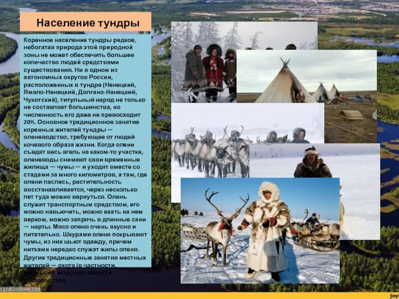 Население тундры. Основные занятия жителей тундры. Народы тундры России. Главное занятие коренных жителей тундры.