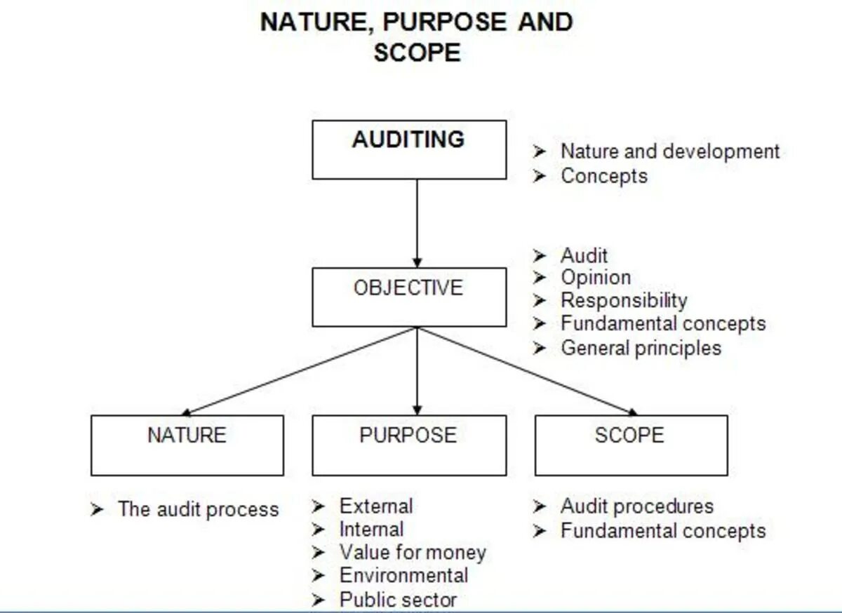 The purpose and functions of. The audit process. functions of auditors. developing stages of audit. audit xulosasi.
