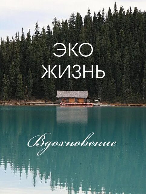 Эко жизнь. Эко образ жизни. эко жизнь вк. эко жизнь картинка.