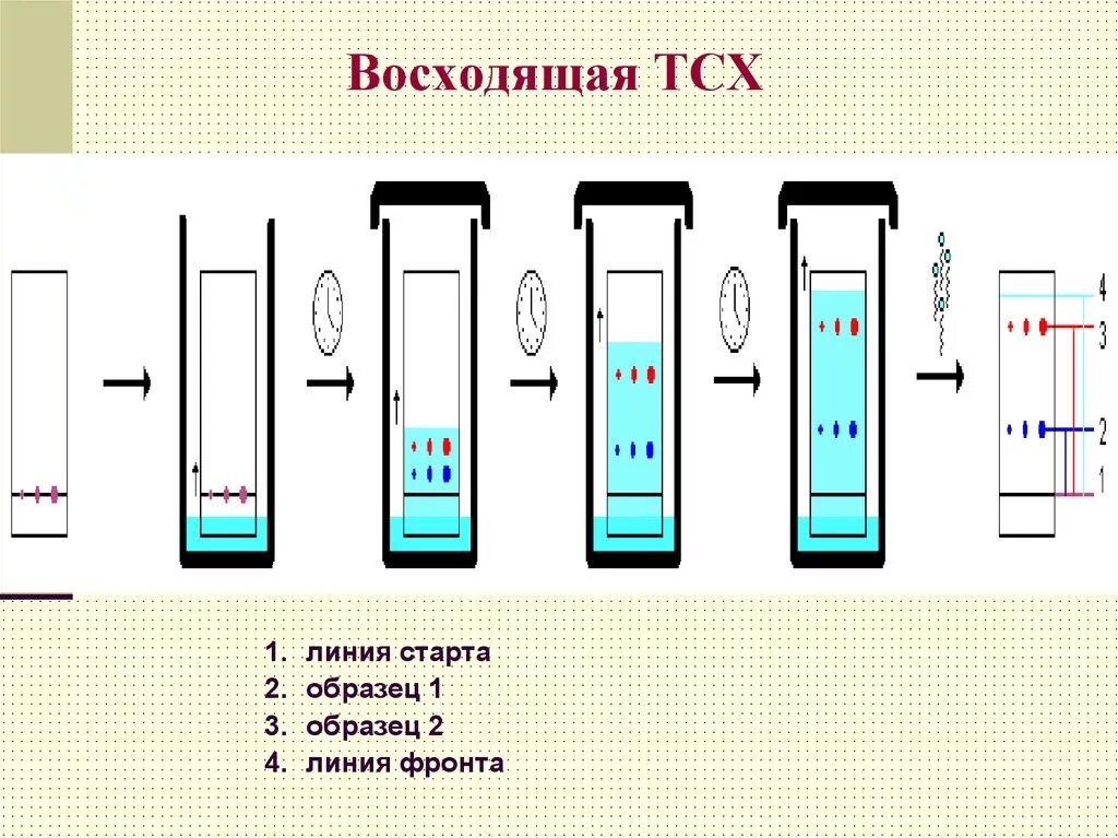 Планарная хроматография. Тонкослойная хроматография схема. метод тонкослойной хроматографии. хроматограмма тонкослойной хроматографии. схема проведения тонкослойной хроматографии.