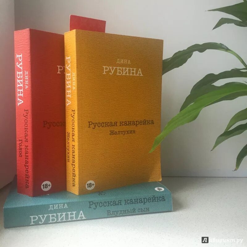 Рубина новая книга. Рубина русская канарейка трилогия.