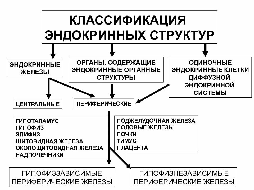 Классификация структур. Классификация эндокринной системы гистология. классификация эндокринной системы схема. классификация заболеваний органов эндокринной системы. классификация эндокринных структур.