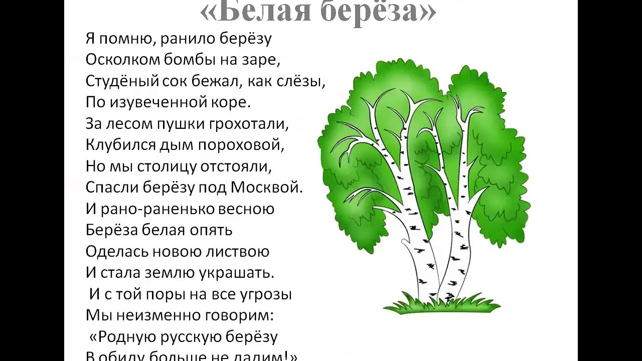 Васильев береза стихотворение. Стих Сергея Васильева белая береза. Белая берёза Васильев 2 класс.