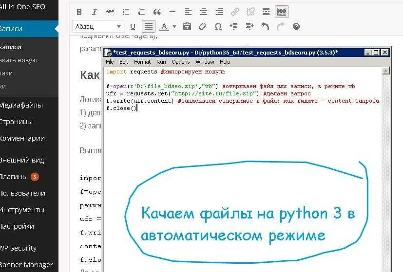 Python переименовать файл. Файл в питоне. Как открыть файл в питоне. Текстовые данные в питоне. Открытие текстовых файлов питон.