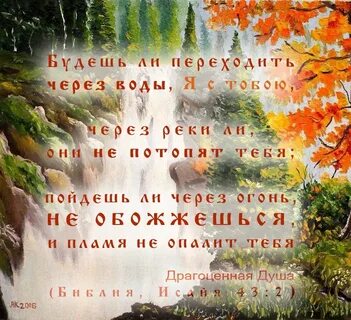 Благородная душа