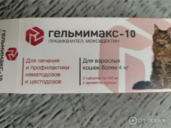 Как давать коту марену красильную