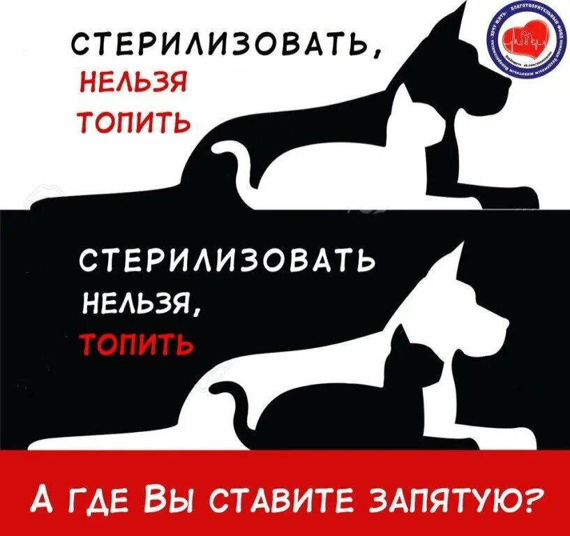 Почему нельзя стерилизовать