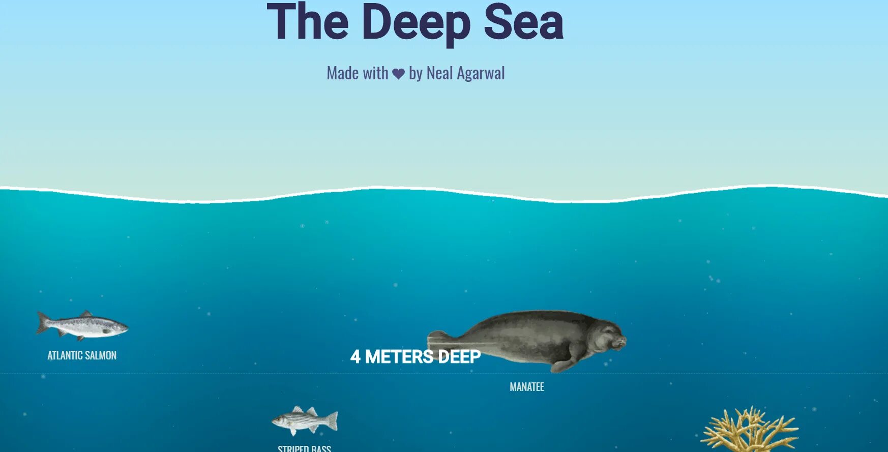 Neal fun. The Deep Sea. Глубина океана визуализация. Deep fun.