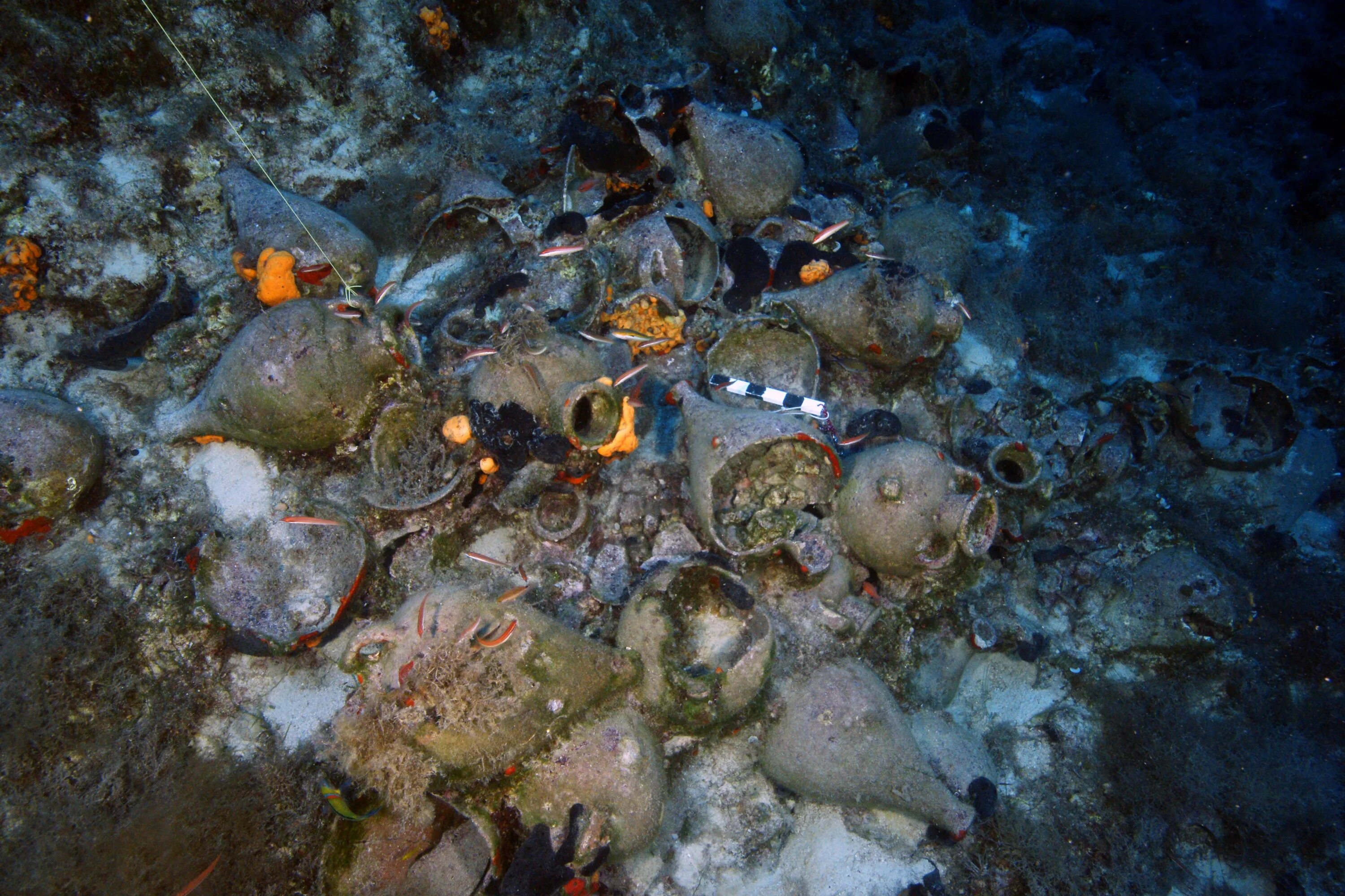 Эгейское море затонувшие корабли. Находки со дна Чудского озера. Находки в Эгейском море. Находки в океане затонувших кораблей.