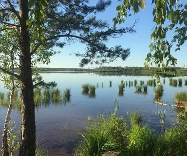 Каменка воротынский нижегородская
