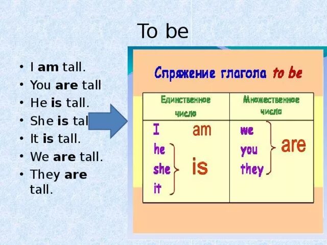 He was taller than me. He is Tall. They are Tall общий вопрос. How Tall .......... He. Tall she.